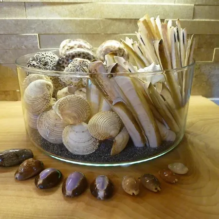 Orto Di Marisa *